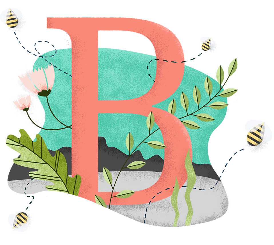 b